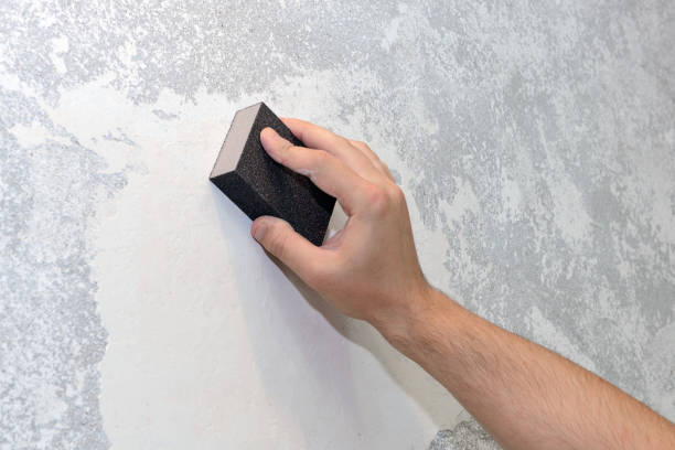 Best Emergency Mold Remediation  in North Terre Haute, IN