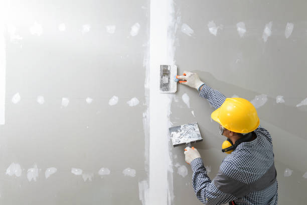 Best Black Mold Removal  in North Terre Haute, IN