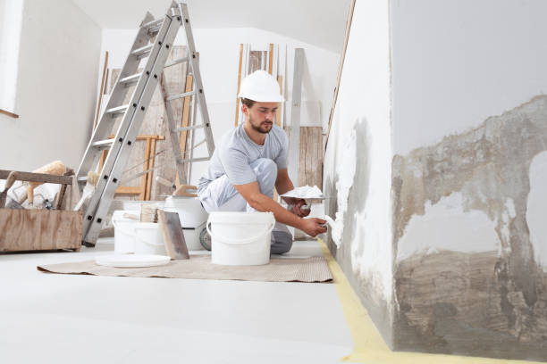 Best Post-Construction Mold Inspection  in North Terre Haute, IN